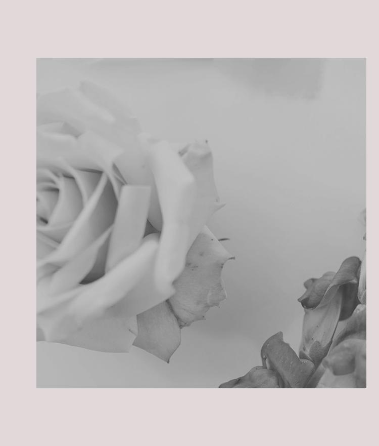 DIY Arrangements