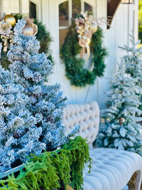 Winter Photos Session Fee