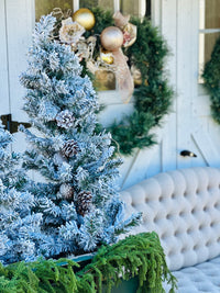 Winter Photos Session Fee