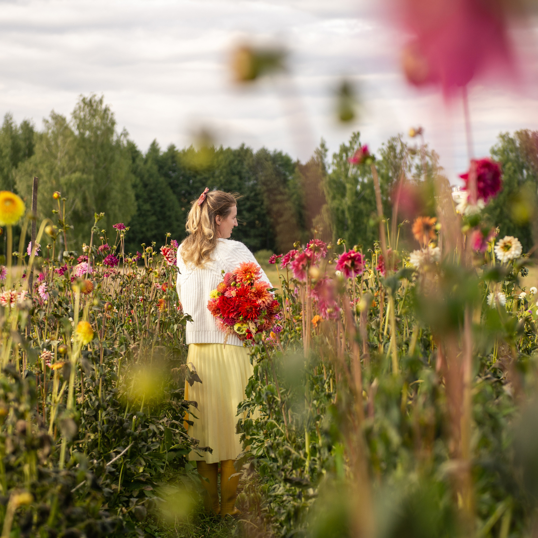 Photos At The Farm Session Fee